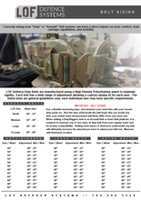 Load image into Gallery viewer, Bälte för hundförare - Cobra Riggers Belt - Working K9 Scandinavia
