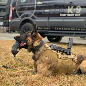 Taktisk hundsele för tjänstehund - Dagger K9 Tactical Vest, enbart väst - Working K9 Scandinavia