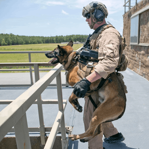 Bärsele för hund - K9 Messenger Sling - Working K9 Scandinavia