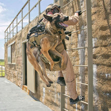 Ladda upp bild till gallerivisning, Taktisk hundsele för tjänstehund - Operator K9 Tactical Vest, komplett kit - Working K9 Scandinavia
