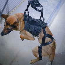 Load image into Gallery viewer, Taktisk hundsele för tjänstehund - Operator K9 Tactical Vest, komplett kit - Working K9 Scandinavia
