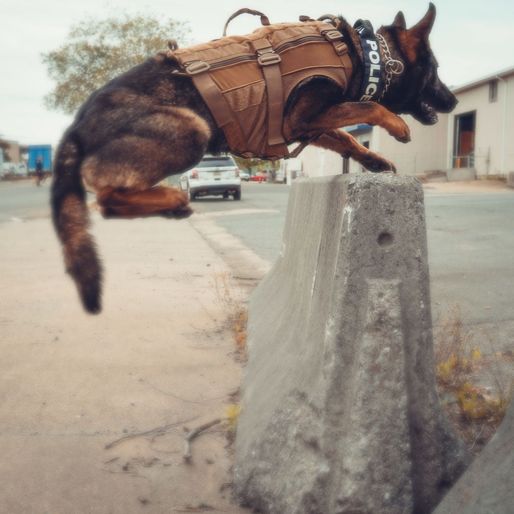 Taktisk hundsele för tjänstehund - Operator K9 Tactical Vest, enbart väst - Working K9 Scandinavia