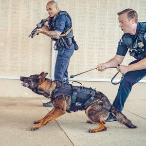 Taktisk hundsele för tjänstehund - Operator K9 Tactical Vest, enbart väst - Working K9 Scandinavia