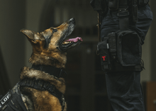 Load image into Gallery viewer, Hundhalsband för tjänstehund och brukshund - K9 Sentry Collar - Working K9 Scandinavia
