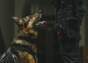 Hundhalsband för tjänstehund och brukshund - K9 Sentry Collar - Working K9 Scandinavia