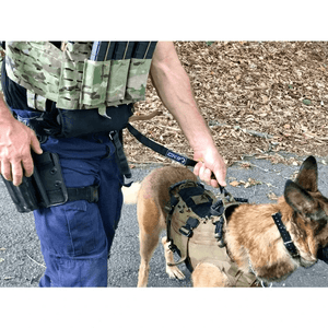 Ficka för spårlina - Long Line External Plate Carrier Stuff Pouch - Working K9 Scandinavia