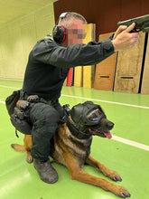 Load image into Gallery viewer, DarkFighter K9 Helmet
