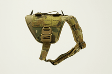 Ladda upp bild till gallerivisning, Skyddsväst för små hundar - K9 Mini StreetFighter Vest - Armoured - Working K9 Scandinavia
