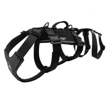 Ladda upp bild till gallerivisning, Hundsele för firning och lyft till tjänstehund - Rappelling Harness - Working K9 Scandinavia
