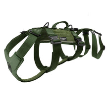 Ladda upp bild till gallerivisning, Hundsele för firning och lyft till tjänstehund - Rappelling Harness - Working K9 Scandinavia
