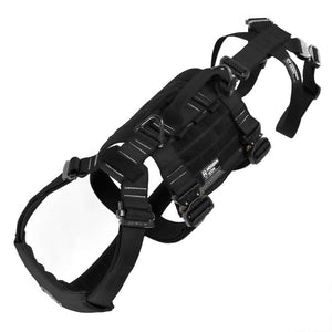 Hundsele för firning och lyft till tjänstehund - Rappelling Harness - Working K9 Scandinavia